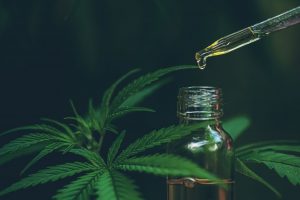 Vitenskapen Bak CBD_ Forstå Hvordan Det Virker I Kroppen